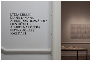 Lydia Debeer, installation at the exhibtion of 'The Empty Foxhole'
